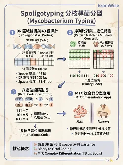 醫檢師 - 分子鑑定與應用技術 - AI 圖文解析預覽