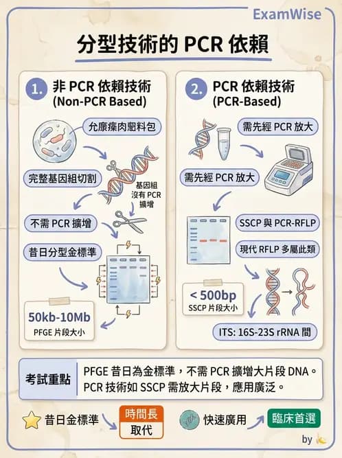 醫檢師 - 分子鑑定與應用技術 - AI 圖文解析預覽