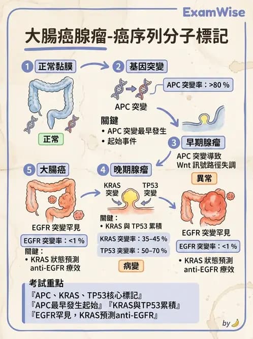 醫檢師 - 腫瘤疾病基因檢測 - AI 圖文解析預覽