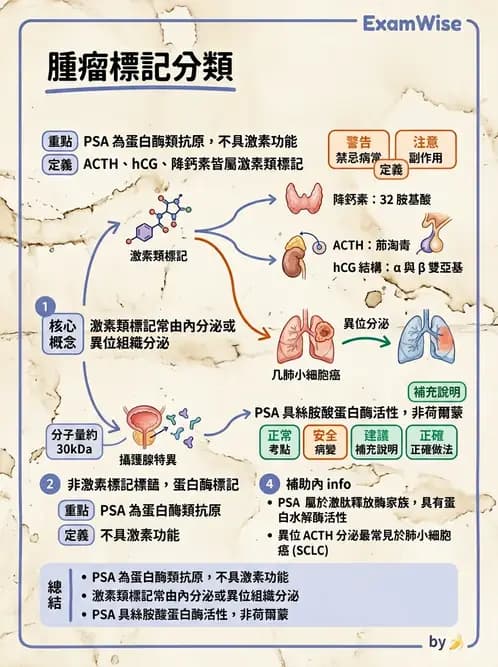 醫檢師 - 腫瘤疾病基因檢測 - AI 圖文解析預覽