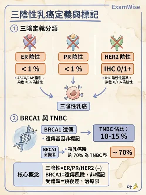 醫檢師 - 腫瘤疾病基因檢測 - AI 圖文解析預覽