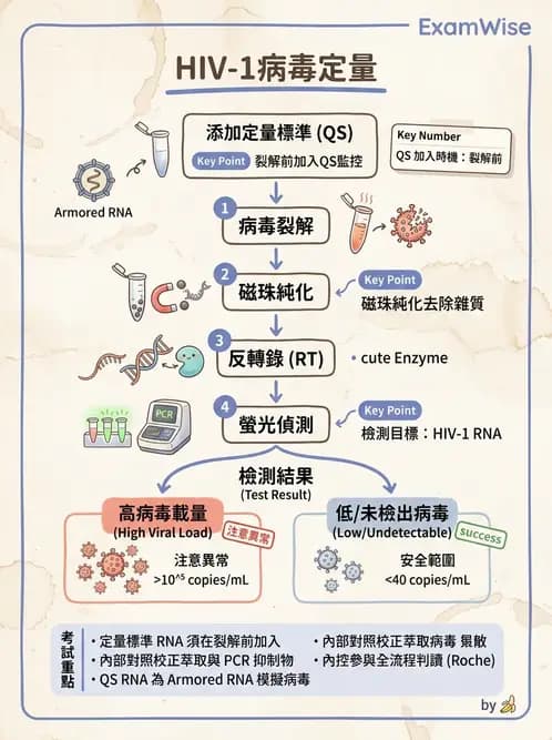 醫檢師 - 感染症分子檢驗 - AI 圖文解析預覽