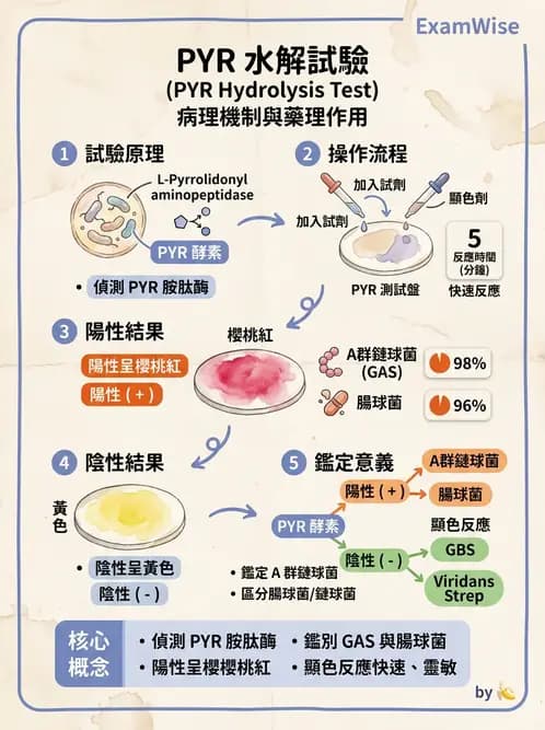 醫檢師 - 檢驗基礎技術 - AI 圖文解析預覽