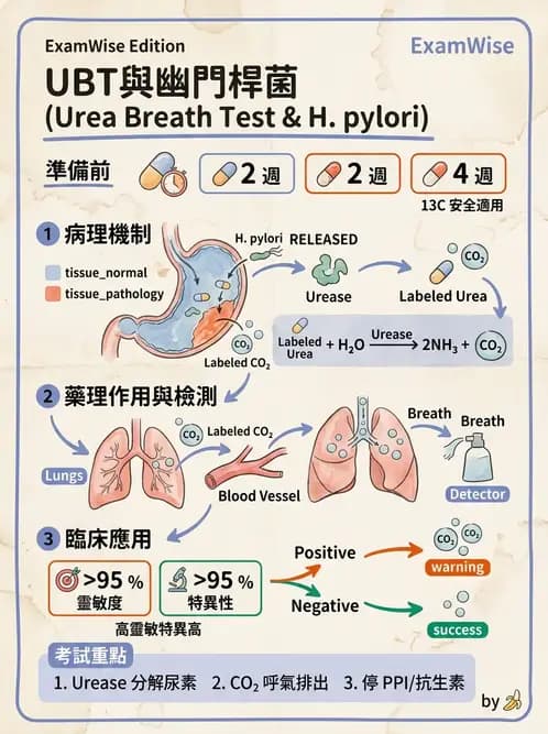 醫檢師 - 弧菌、氣單胞菌與彎曲菌 - AI 圖文解析預覽