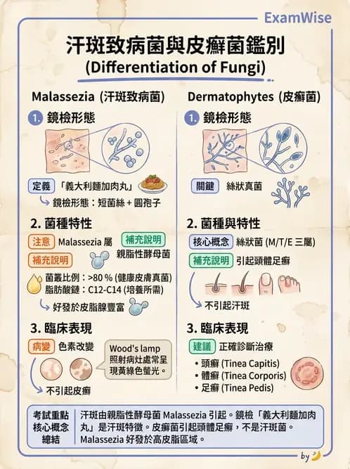 醫檢師 - 皮膚與皮下真菌感染 - AI 圖文解析預覽
