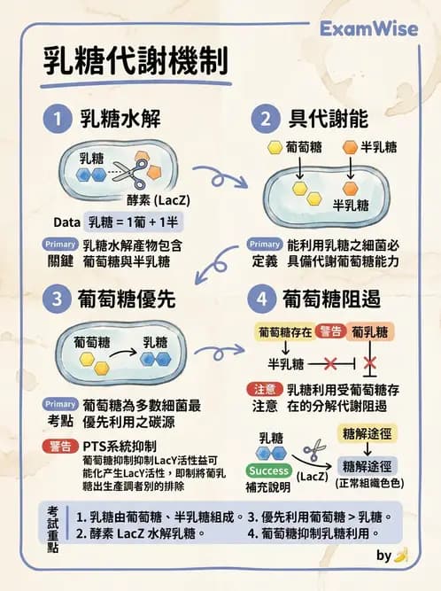 醫檢師 - 檢驗基礎技術 - AI 圖文解析預覽