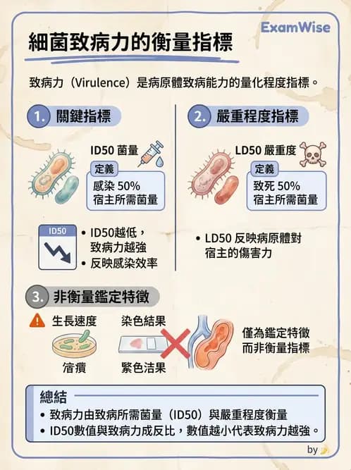 醫檢師 - 實驗室安全與微生物特性 - AI 圖文解析預覽