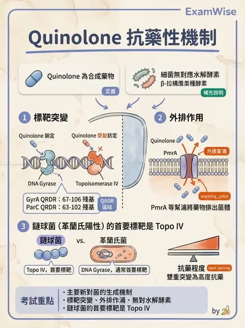 醫檢師 - 抗藥性機制 - AI 圖文解析預覽