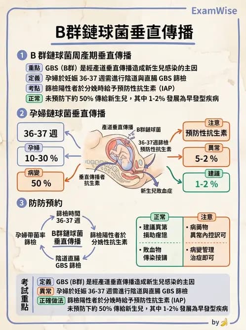 醫檢師 - 鏈球菌與其他革蘭氏陽性桿菌 - AI 圖文解析預覽