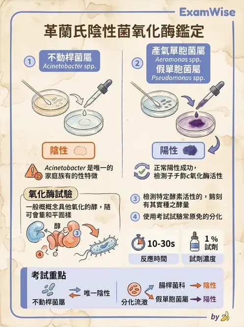 醫檢師 - 檢驗基礎技術 - AI 圖文解析預覽