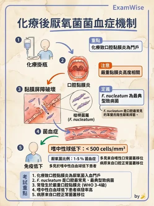 醫檢師 - 厭氧菌 - AI 圖文解析預覽