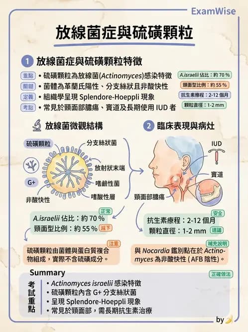 醫檢師 - 厭氧菌 - AI 圖文解析預覽