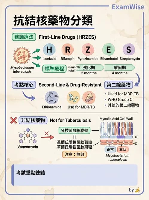 醫檢師 - 分枝桿菌 - AI 圖文解析預覽