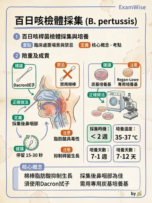 醫檢師 - 奈瑟菌與挑剔性革蘭氏陰性菌 - AI 圖文解析預覽
