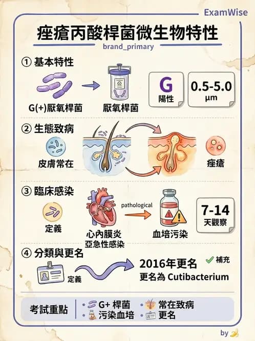 醫檢師 - 厭氧菌 - AI 圖文解析預覽