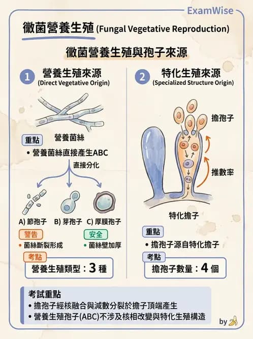 醫檢師 - 真菌診斷與治療 - AI 圖文解析預覽