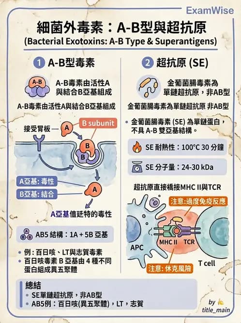 醫檢師 - 實驗室安全與微生物特性 - AI 圖文解析預覽