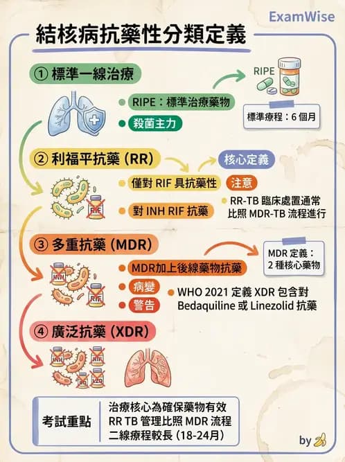 醫檢師 - 分枝桿菌 - AI 圖文解析預覽