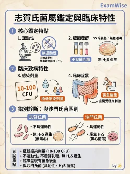 醫檢師 - 主要腸道致病菌 - AI 圖文解析預覽