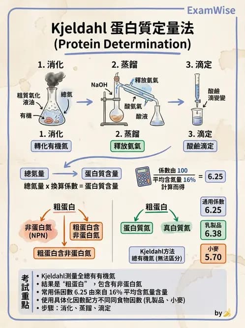 醫檢師 - 血清蛋白與蛋白質檢測 - AI 圖文解析預覽
