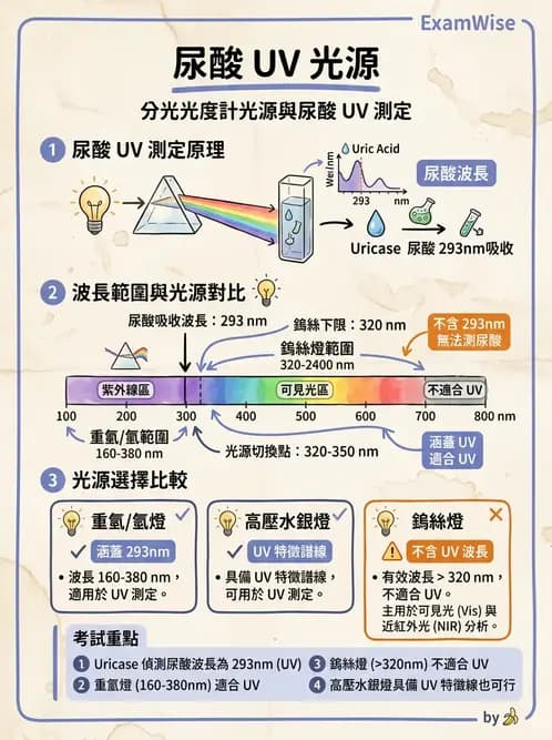醫檢師 - 腎臟機能與代謝評估 - AI 圖文解析預覽
