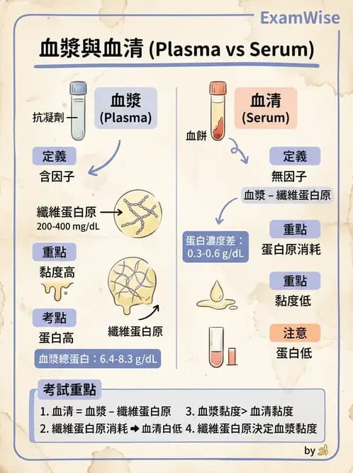 醫檢師 - 血清蛋白與蛋白質檢測 - AI 圖文解析預覽