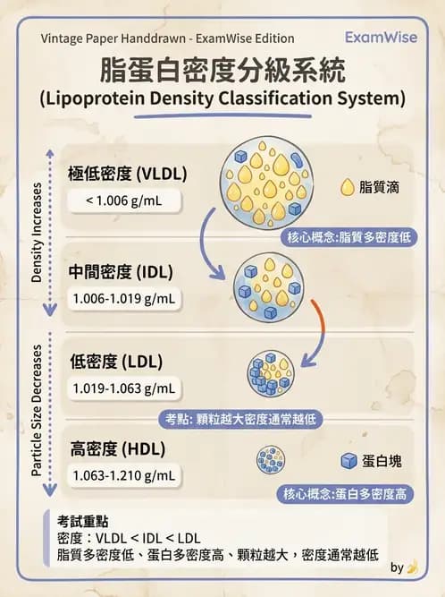 醫檢師 - 脂蛋白分類與臨床應用 - AI 圖文解析預覽