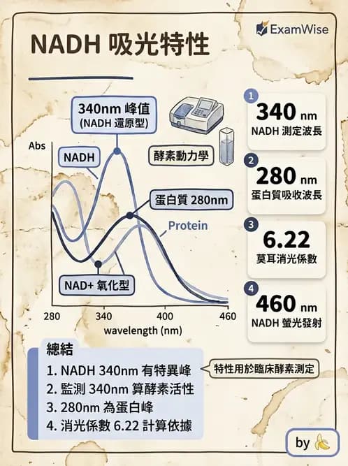 醫檢師 - 基本概念與儀器分析 - AI 圖文解析預覽