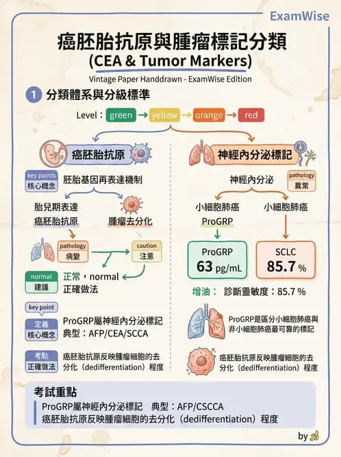 醫檢師 - 腫瘤標誌 - AI 圖文解析預覽
