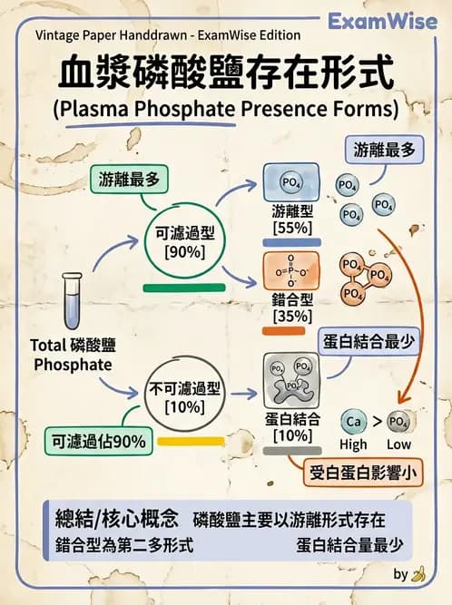 醫檢師 - 電解質與微量元素 - AI 圖文解析預覽
