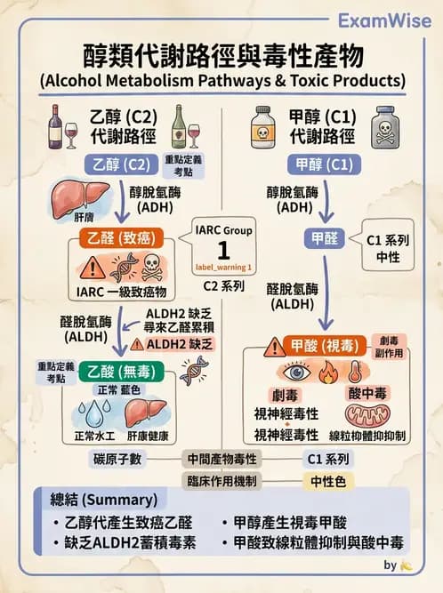 醫檢師 - 治療藥物監測與毒物學 - AI 圖文解析預覽