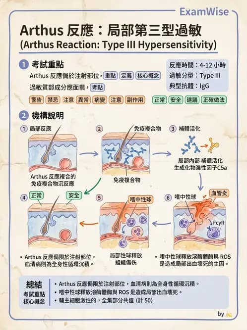 醫檢師 - 過敏反應及測試法 - AI 圖文解析預覽