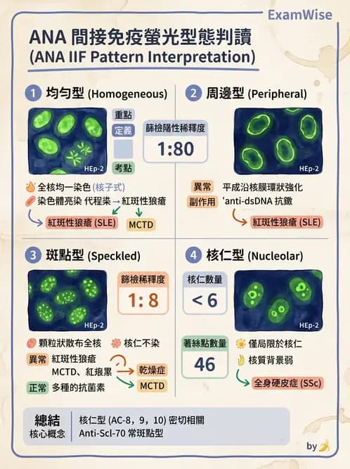 醫檢師 - 其他自體免疫疾病與自體抗體檢驗 - AI 圖文解析預覽