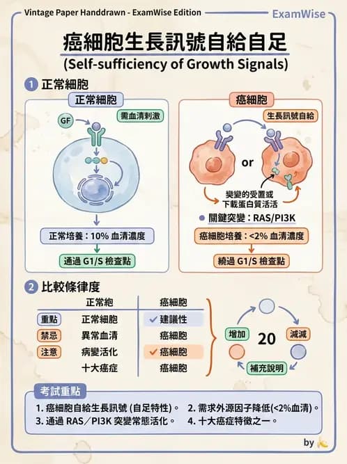 醫檢師 - 腫瘤免疫學免疫療法及疫苗 - AI 圖文解析預覽