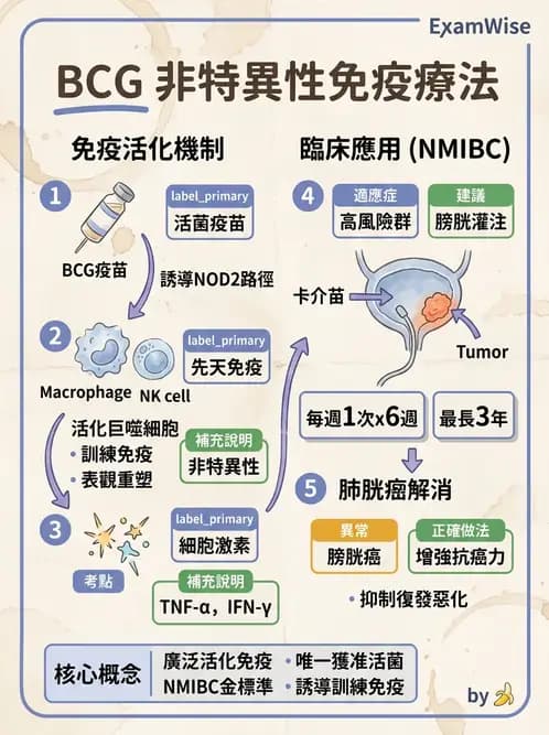 醫檢師 - 腫瘤免疫學免疫療法及疫苗 - AI 圖文解析預覽