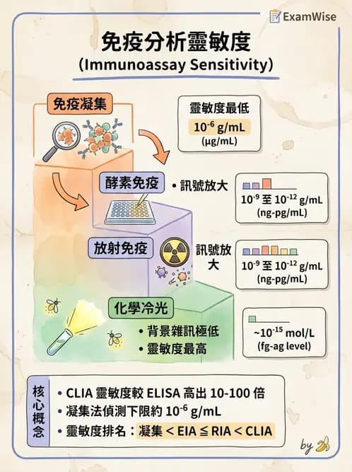醫檢師 - 實驗室測試免疫法 - AI 圖文解析預覽