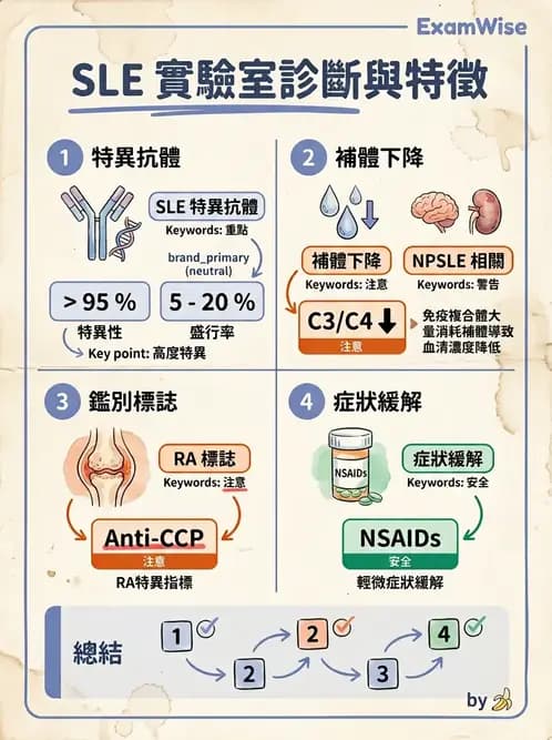 醫檢師 - 全身性紅斑性狼瘡與抗磷脂質症候群 - AI 圖文解析預覽