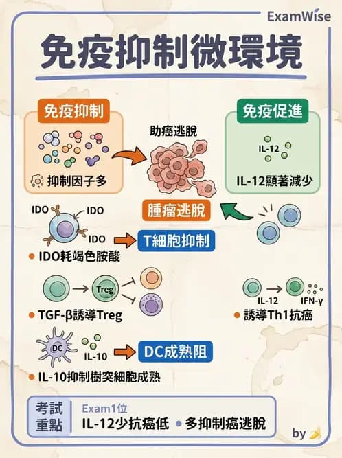 醫檢師 - 腫瘤免疫學免疫療法及疫苗 - AI 圖文解析預覽