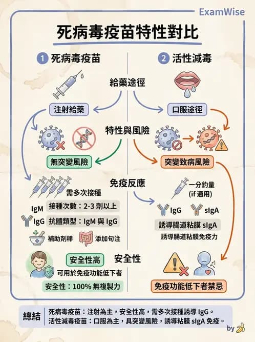 醫檢師 - 抗病毒藥物與疫苗通論 - AI 圖文解析預覽