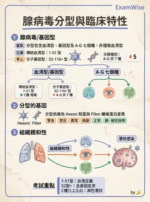 醫檢師 - 腺病毒與痘病毒 - AI 圖文解析預覽