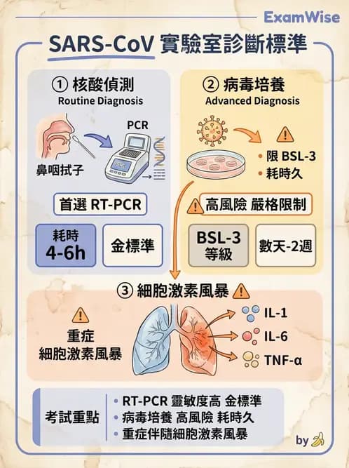 醫檢師 - 冠狀病毒科 - AI 圖文解析預覽