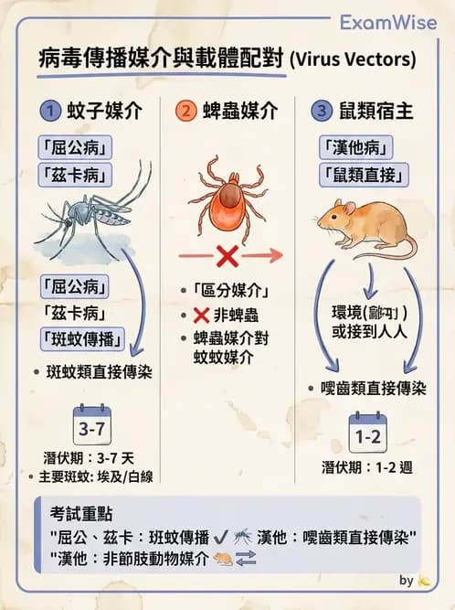 醫檢師 - 黃病毒科與蟲媒病毒 - AI 圖文解析預覽