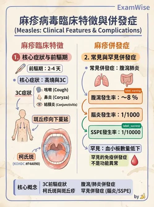醫檢師 - 副黏液病毒科 - AI 圖文解析預覽