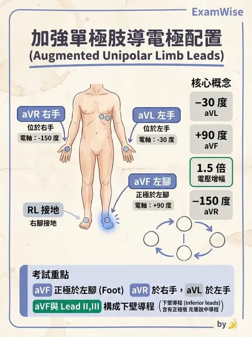 醫檢師 - 心電圖基礎與判讀 - AI 圖文解析預覽