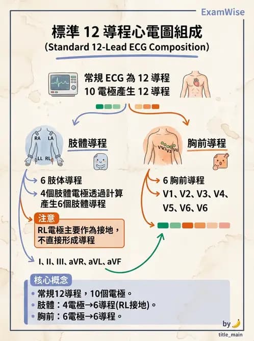 醫檢師 - 心電圖基礎與判讀 - AI 圖文解析預覽