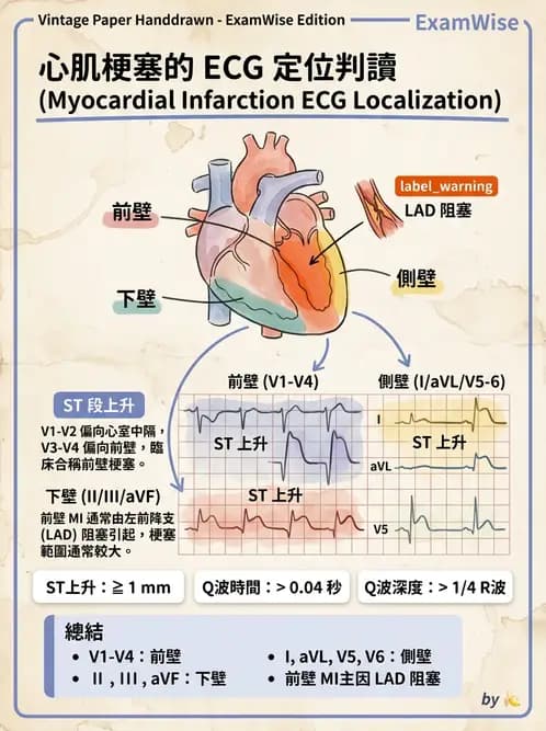 醫檢師 - 心肌病變與特殊心電圖 - AI 圖文解析預覽