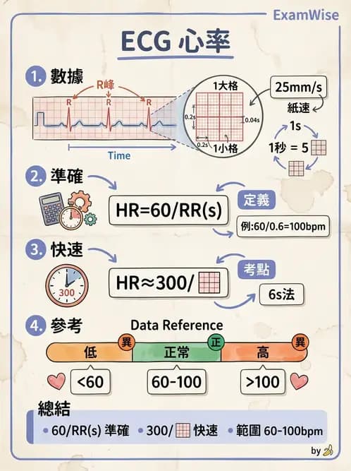 醫檢師 - 心電圖基礎與判讀 - AI 圖文解析預覽