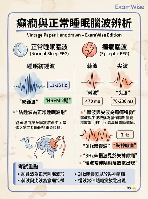 醫檢師 - 腦電圖檢查 - AI 圖文解析預覽