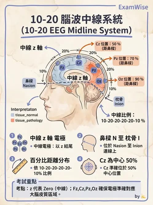 醫檢師 - 腦電圖檢查 - AI 圖文解析預覽