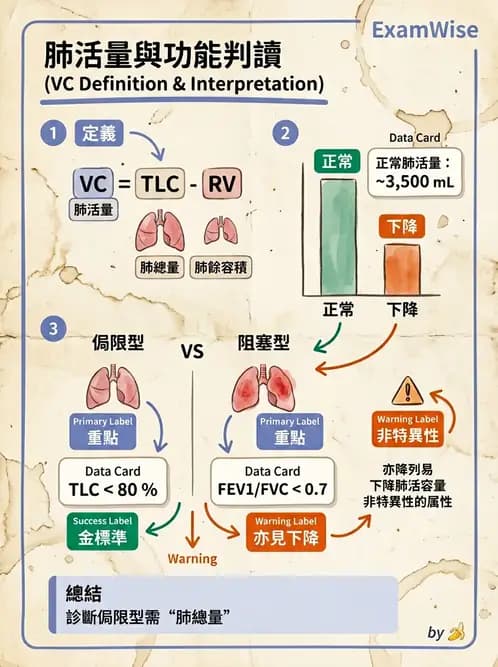 醫檢師 - 肺功能基礎與指標 - AI 圖文解析預覽